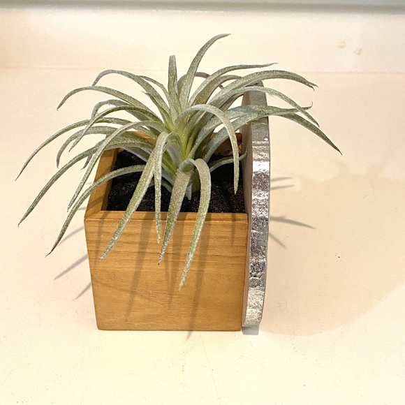 Home decor with artificial plant - Picture 5 of 5